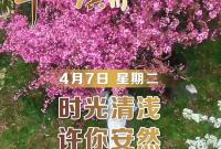 【早安】4月7日，周二，早安。人生没有白走的路，​每一段绕远都在帮你找方向，每一次跌倒都在教你如何更稳地站起。​早安，​不慌，​慢慢来。​