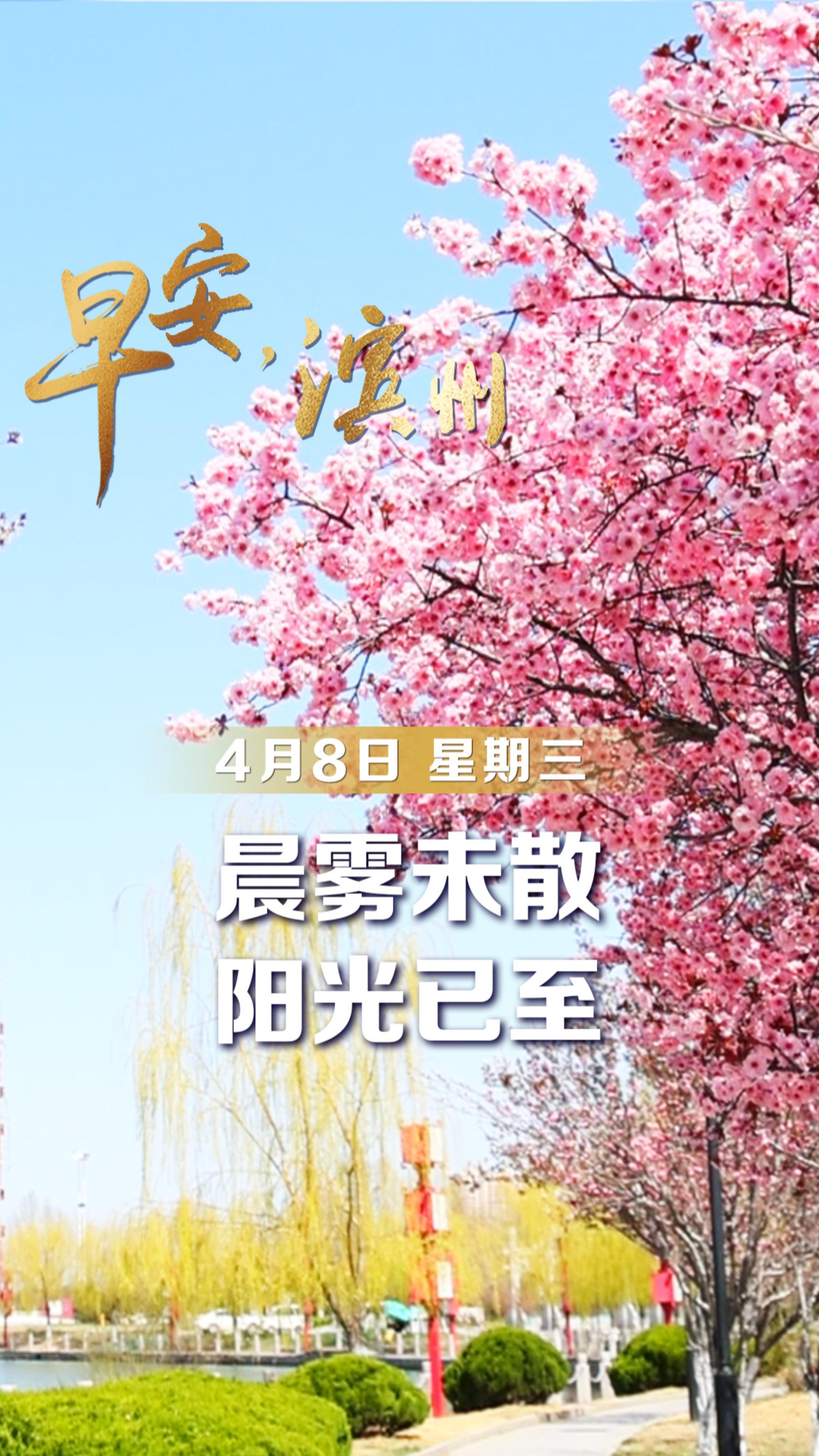 【早安】4月8日，周三，早安。晨雾未散，阳光已至。城市在鸟鸣中醒来，人间烟火次第升腾。愿你今日诸事顺遂，眼里有光。