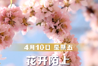 【早安】4月10日，周五，早安。晨雾未散，阳光已至。春天的美好，是风用了心，是花动了情。愿这个春天，所有期待都能如约绽放