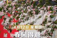 【早安】4月12日，周日，早安。晓风拂城，晨意渐浓。绿意盎然，鸟语声声。愿你春风得意，万事顺遂，好运连连，幸福绵绵。周末快乐！